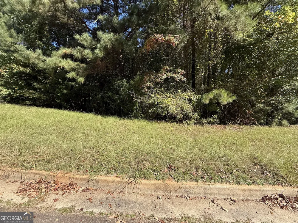 1333 Nickel Oak BND McDonough, GA 30252