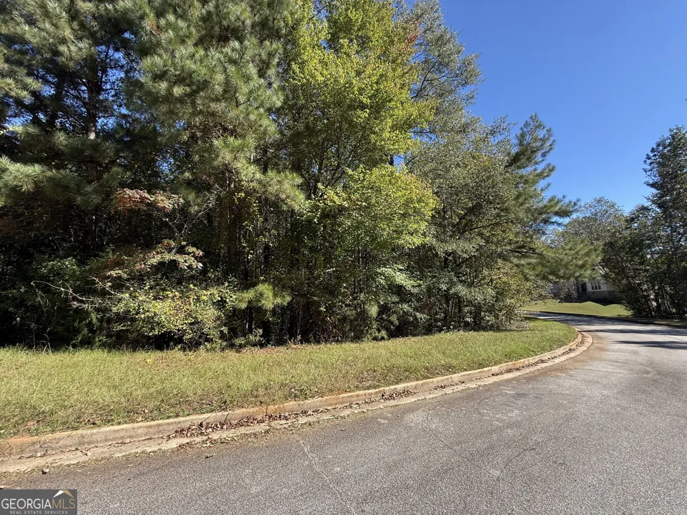 1333 Nickel Oak BND McDonough, GA 30252