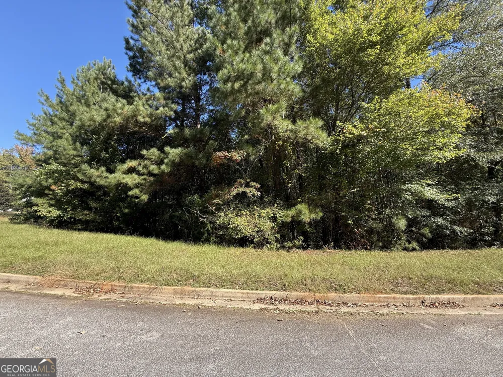 1333 Nickel Oak BND McDonough, GA 30252