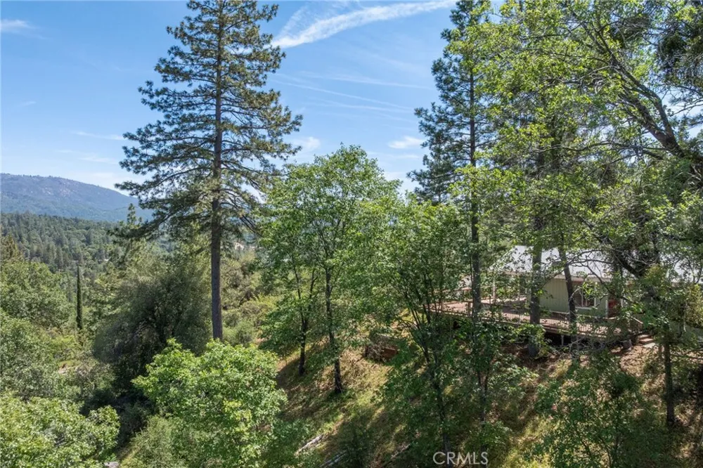 54481 Pinchot Dr. North Fork, CA 93643
