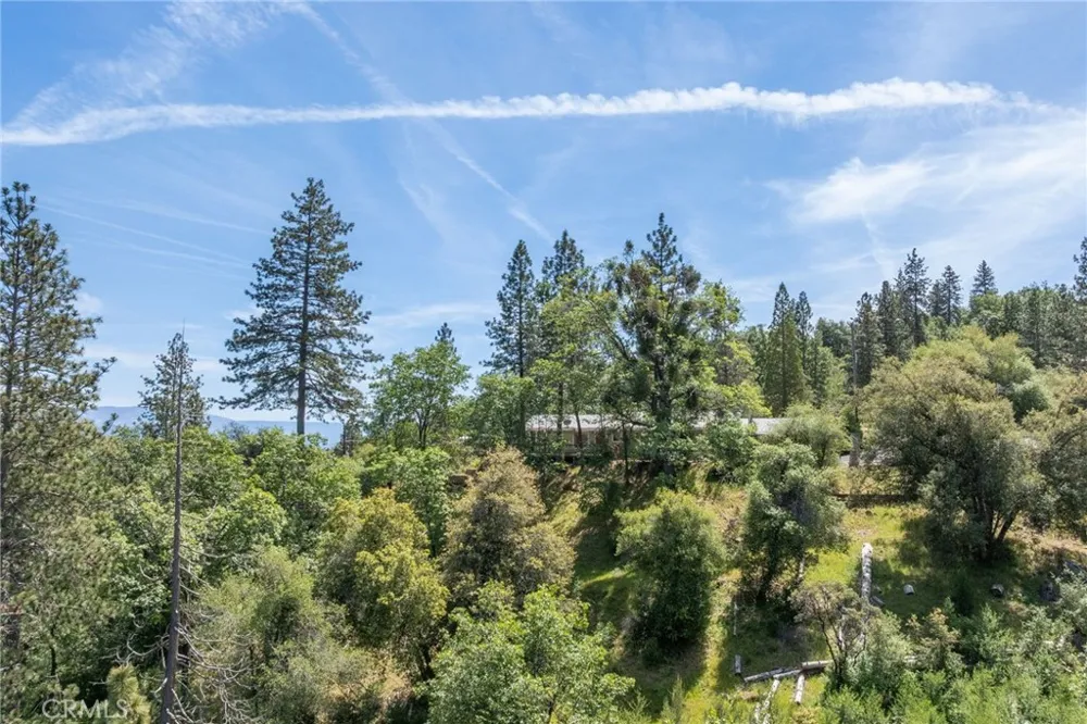 54481 Pinchot Dr. North Fork, CA 93643