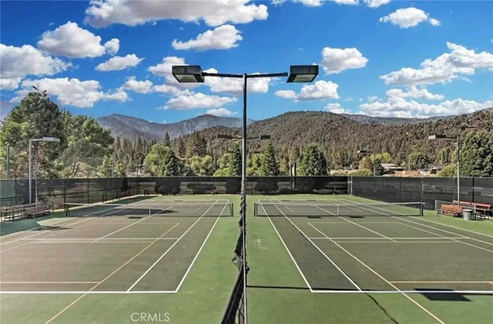 2028 Linden Drive Pine Mountain Club, CA 93222