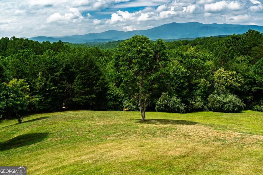 156 Pine View LN Copperhill, TN 37317
