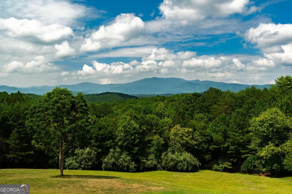 156 Pine View LN Copperhill, TN 37317