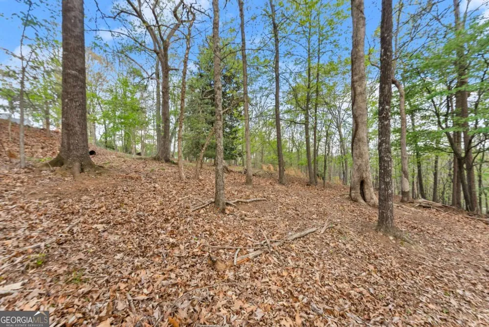 2524 Thompson Ovlk Gainesville, GA 30506