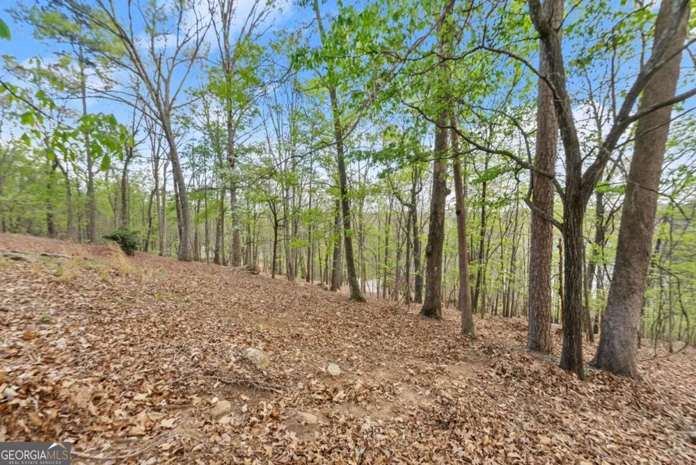 2524 Thompson Ovlk Gainesville, GA 30506