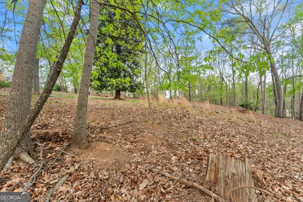 2524 Thompson Ovlk Gainesville, GA 30506