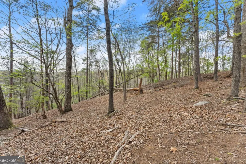 2524 Thompson Ovlk Gainesville, GA 30506
