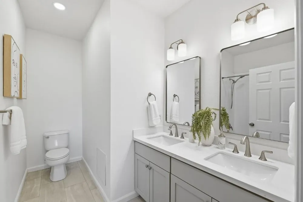 418 E Evelyn Avenue #202 Sunnyvale, CA 94086