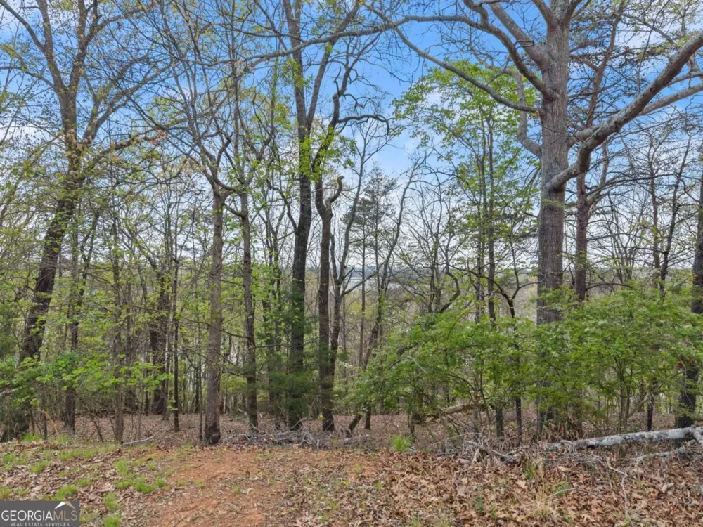2528 Thompson Ovlk Gainesville, GA 30506