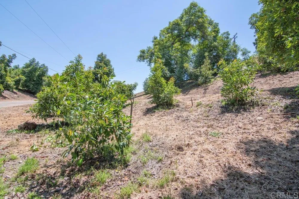 3137 E Valley Parkway Escondido, CA 92027