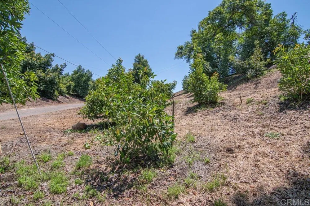 3137 E Valley Parkway Escondido, CA 92027