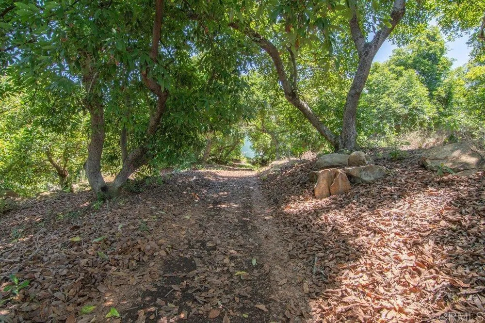 3137 E Valley Parkway Escondido, CA 92027