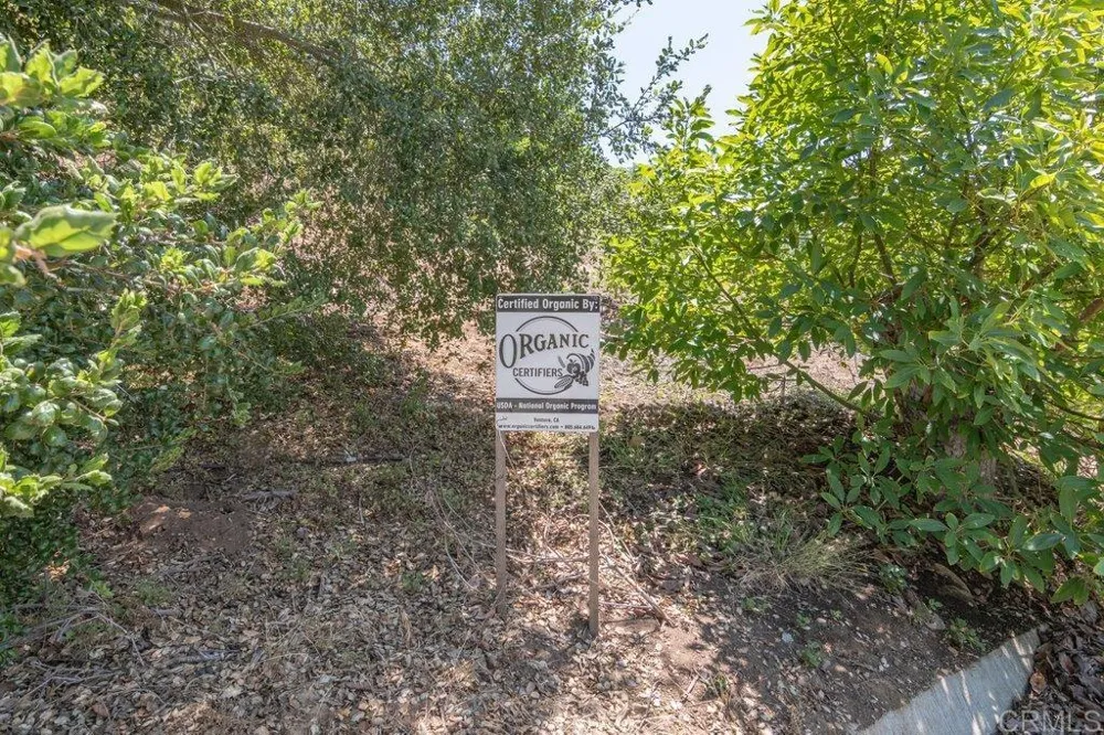3137 E Valley Parkway Escondido, CA 92027