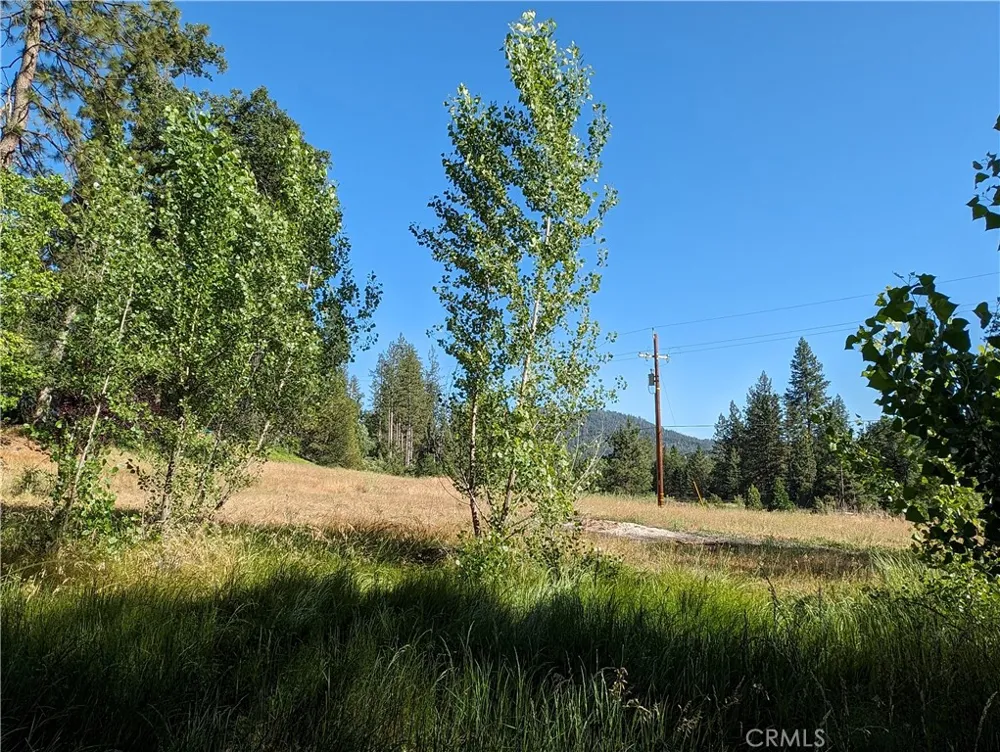Road 274 Bass Lake, CA 93604
