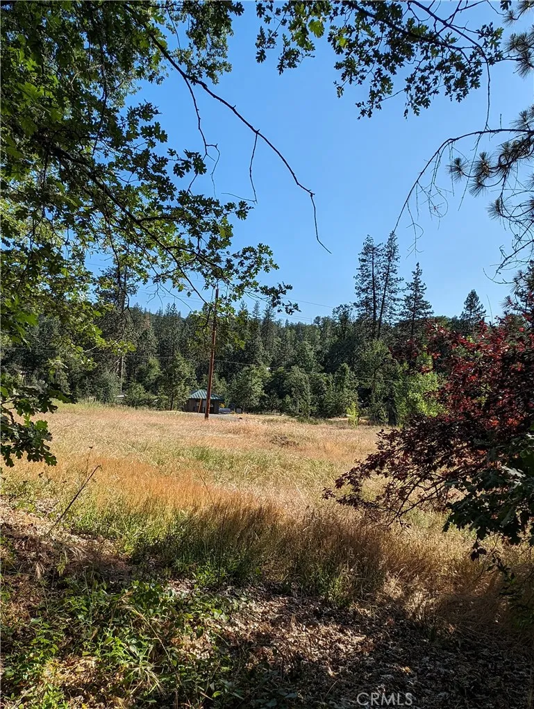 Road 274 Bass Lake, CA 93604