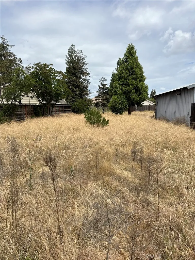 1101 E Monte Vista Turlock, CA 95382