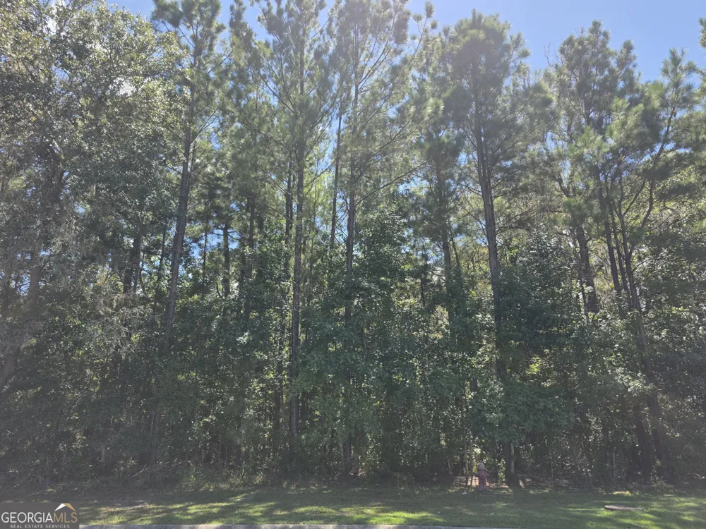 LOT 143 Canopy LN Waverly, GA 31565