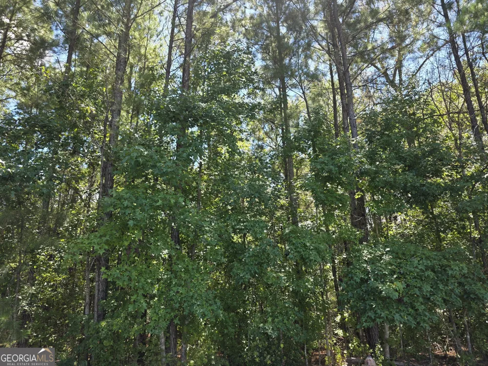 LOT 143 Canopy LN Waverly, GA 31565