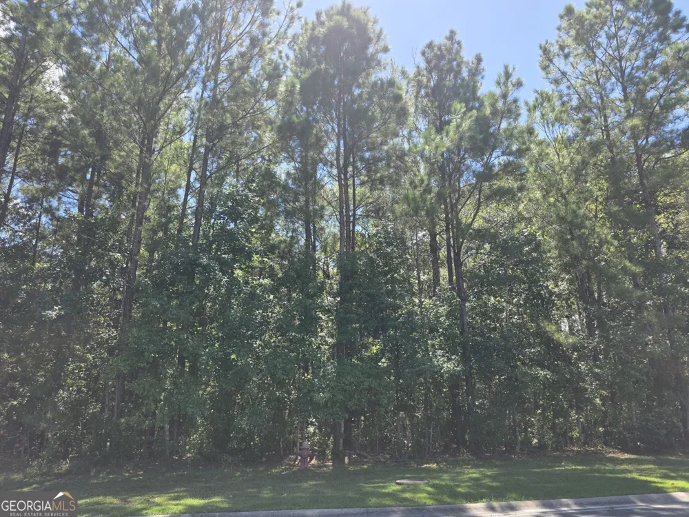 LOT 143 Canopy LN Waverly, GA 31565