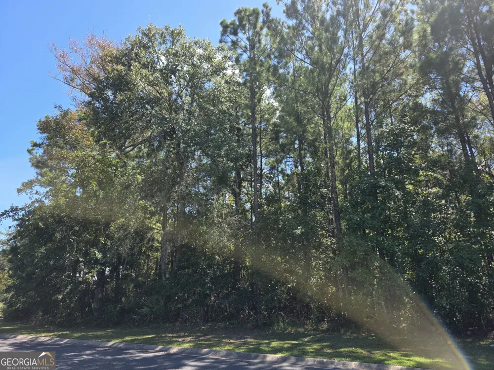 LOT 143 Canopy LN Waverly, GA 31565