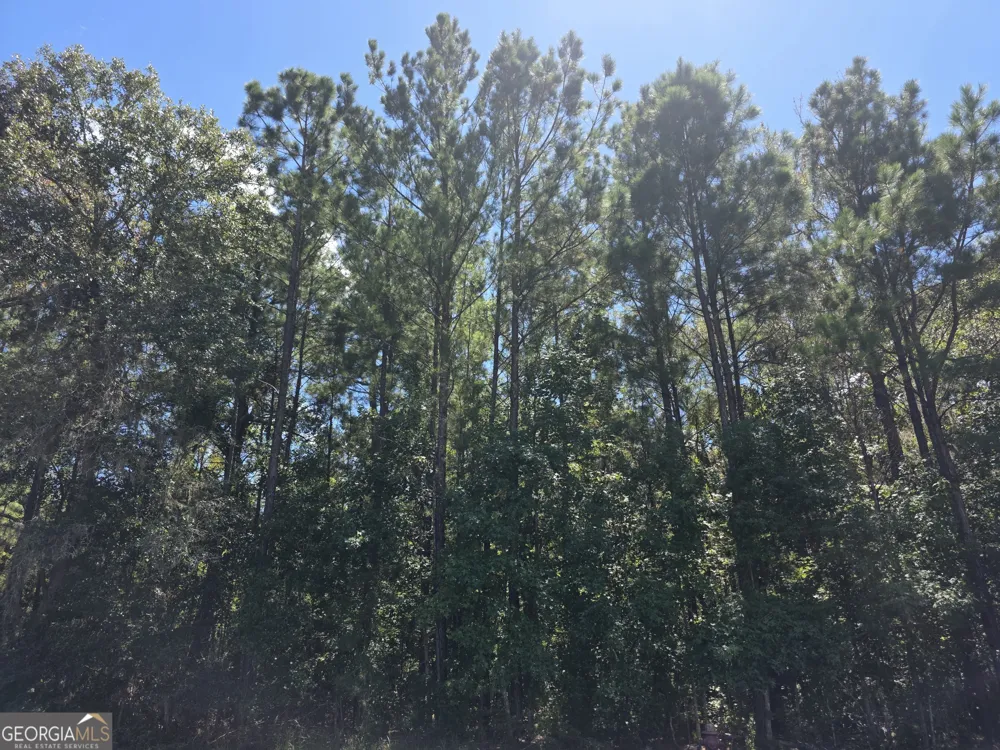 LOT 143 Canopy LN Waverly, GA 31565