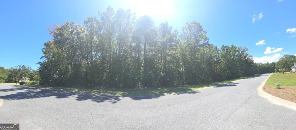 LOT 143 Canopy LN Waverly, GA 31565