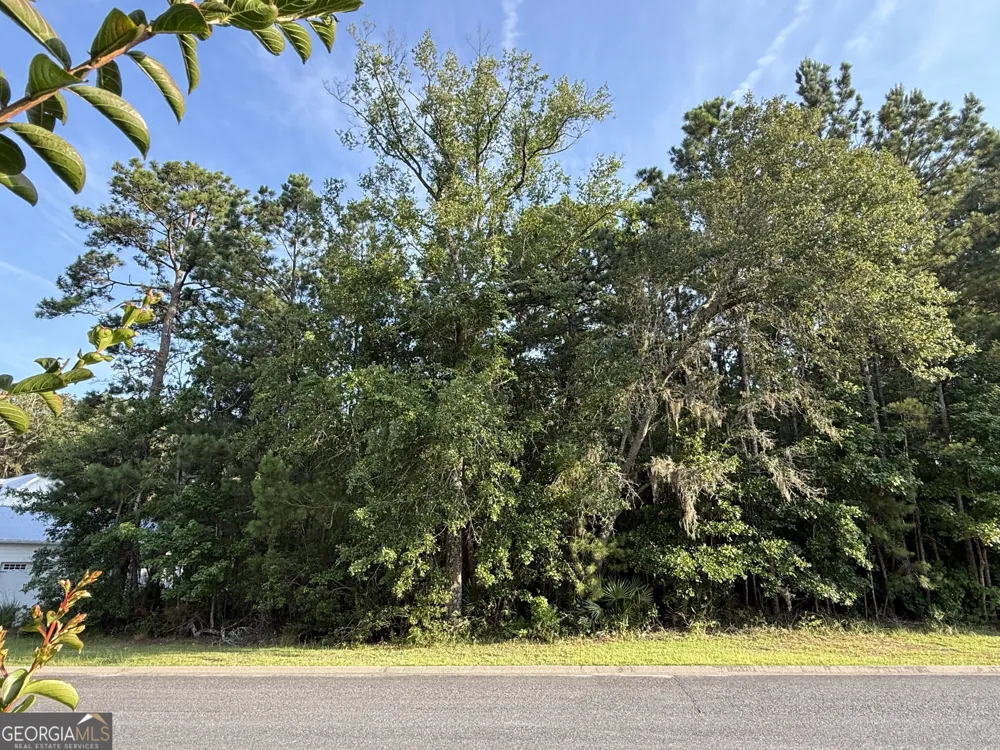 LOT 143 Canopy LN Waverly, GA 31565