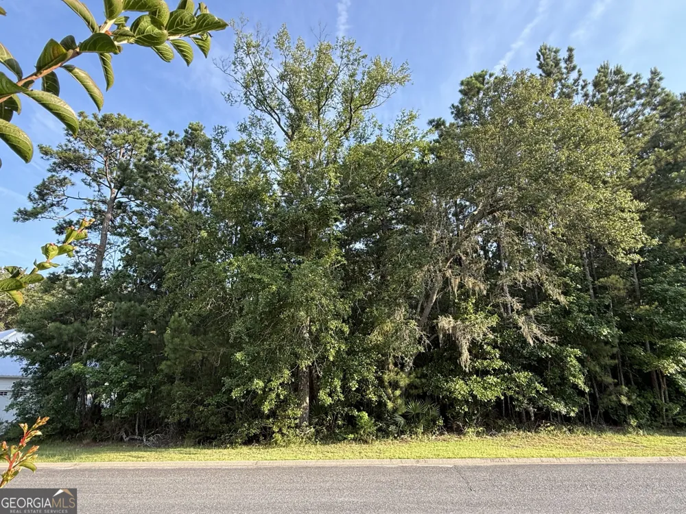 LOT 143 Canopy LN Waverly, GA 31565