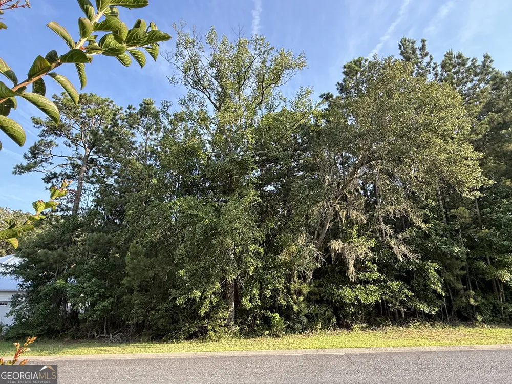 LOT 143 Canopy LN Waverly, GA 31565