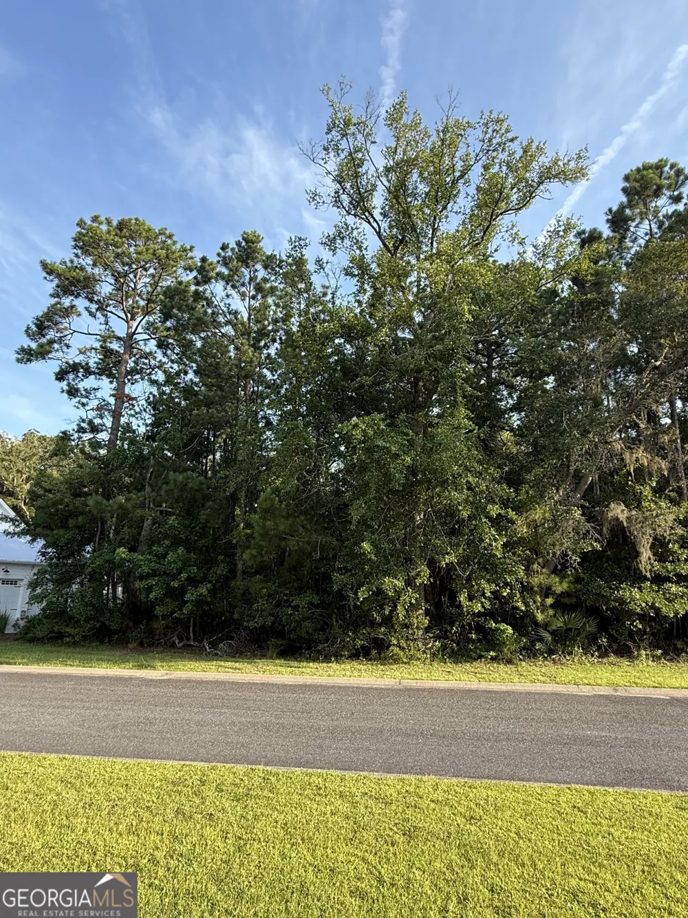 LOT 143 Canopy LN Waverly, GA 31565