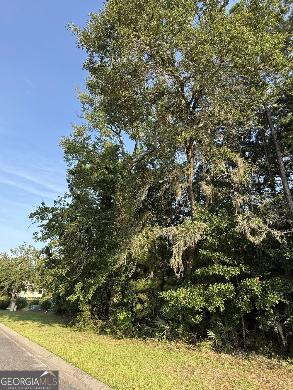 LOT 143 Canopy LN Waverly, GA 31565