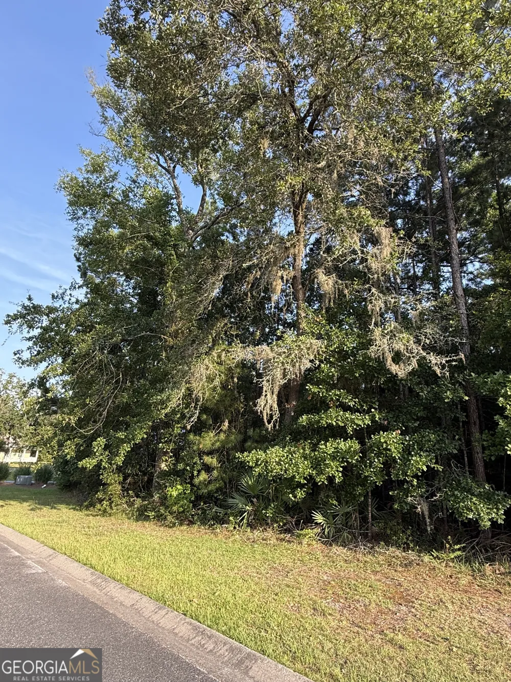 LOT 143 Canopy LN Waverly, GA 31565
