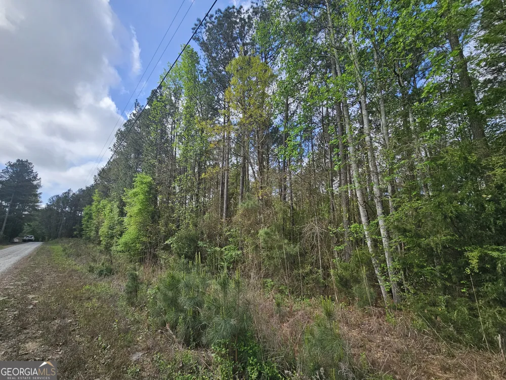 LOT 12 Gregg Shoals DR Elberton, GA 30635