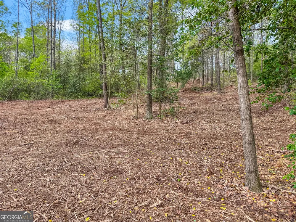 101 Broad River RD Eastanollee, GA 30538