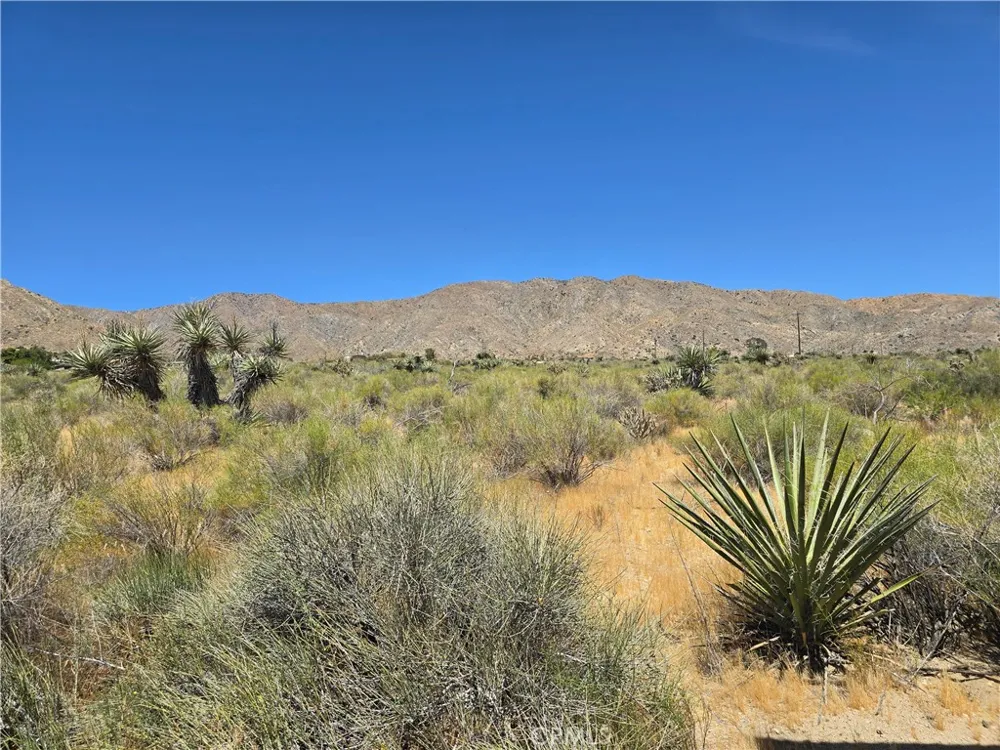5 Apache Morongo Valley, CA 92256