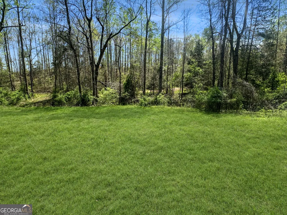 960 Gooseneck RD Eastanollee, GA 30538