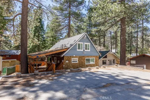 33481 Weeping Willow