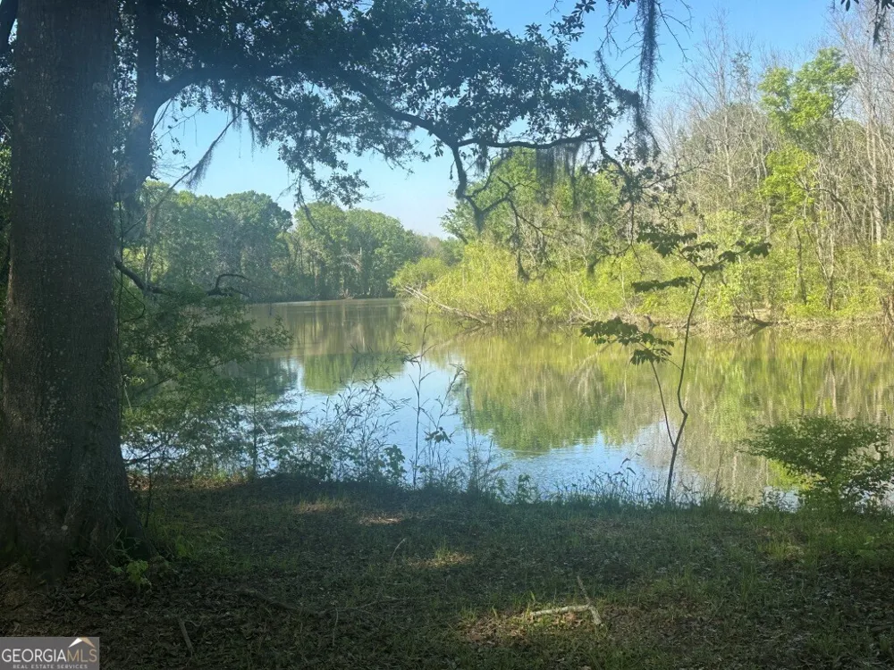 0 Old Poor Robin RD Sylvania, GA 30467