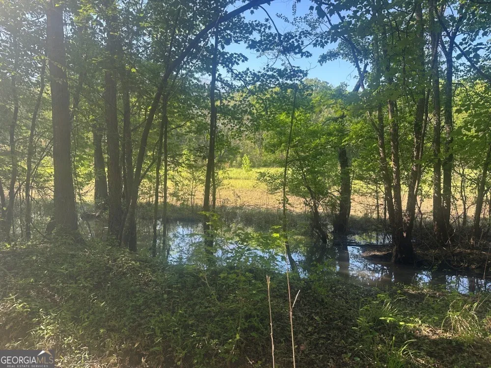 0 Old Poor Robin RD Sylvania, GA 30467