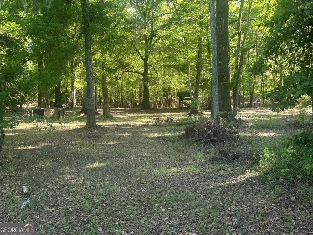 0 Old Poor Robin RD Sylvania, GA 30467