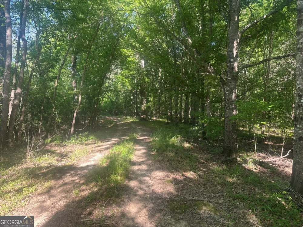 0 Old Poor Robin RD Sylvania, GA 30467