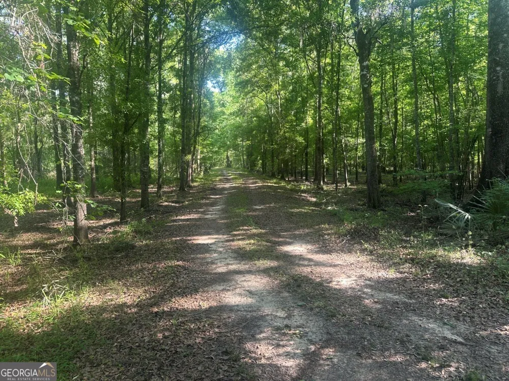 0 Old Poor Robin RD Sylvania, GA 30467