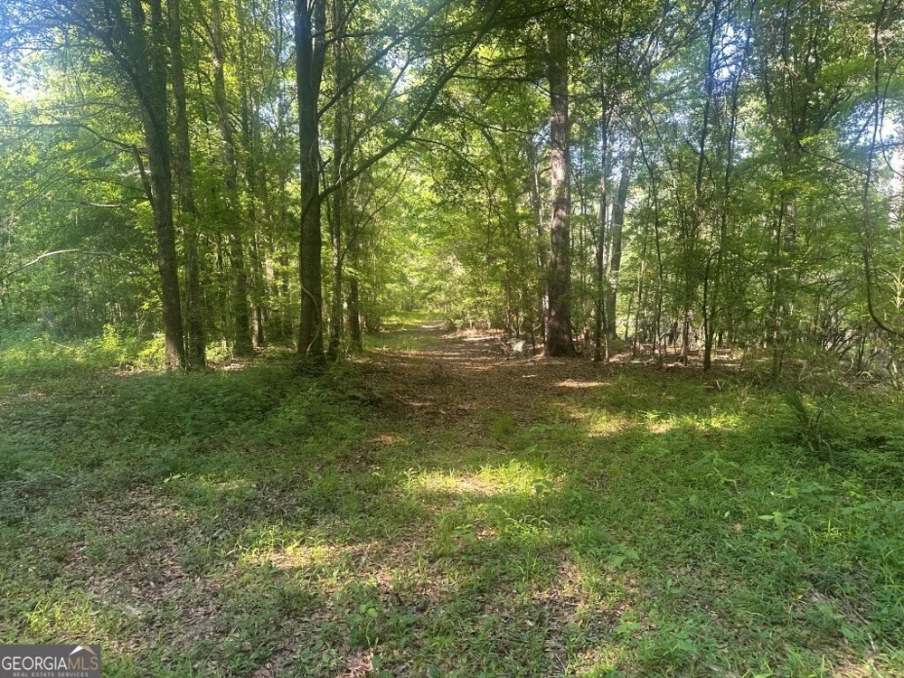 0 Old Poor Robin RD Sylvania, GA 30467
