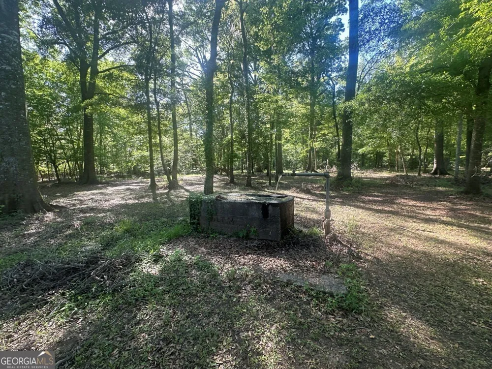 0 Old Poor Robin RD Sylvania, GA 30467