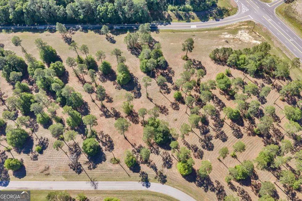 0 N Coney Rd Lot 12 Block A Cordele, GA 31015