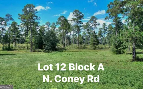 0 N Coney Rd Lot 12 Block A