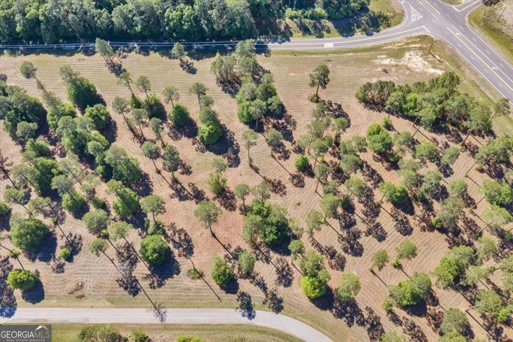 0 N Coney Rd Lot 13 Block A Cordele, GA 31015