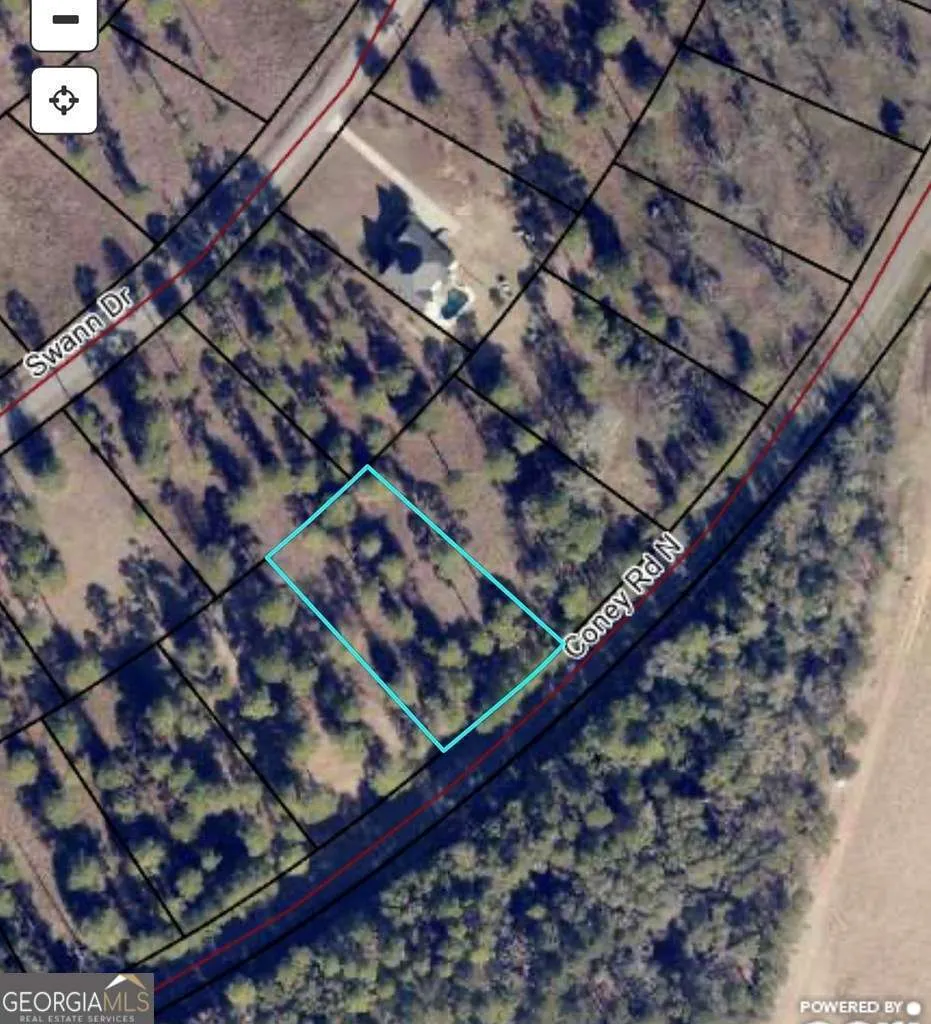 0 N Coney Rd Lot 13 Block A Cordele, GA 31015
