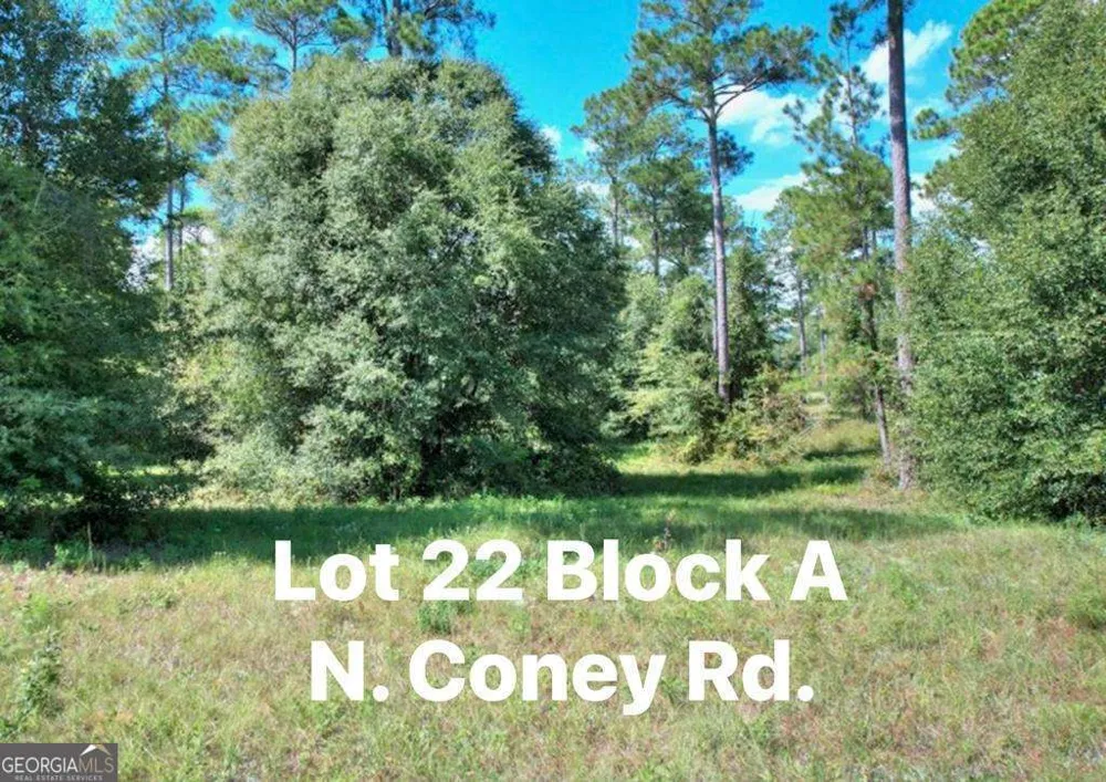 0 N Coney Rd Lot 22 Block A Cordele, GA 31015